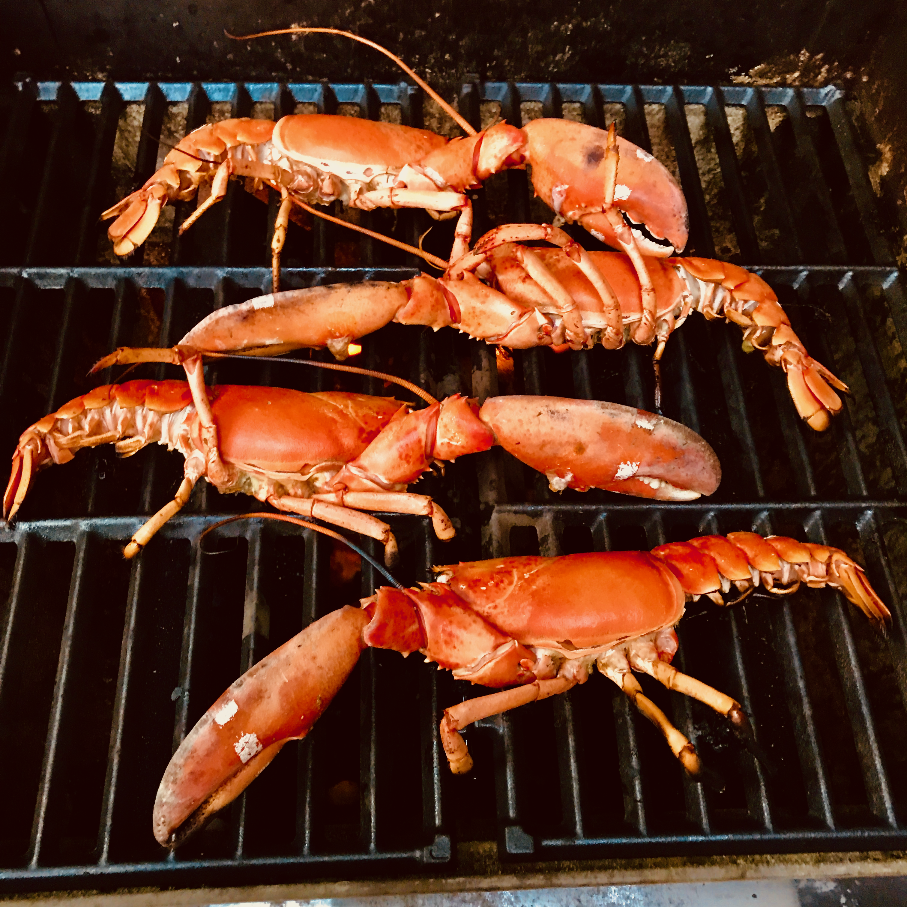 Grilled Lobster